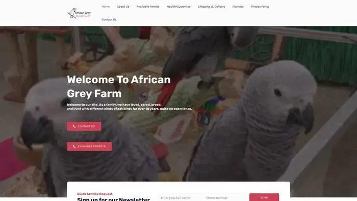 Screenshot of