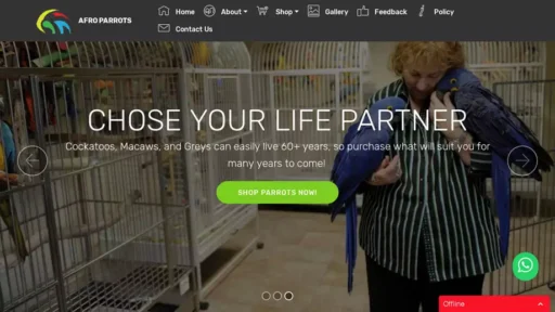Screenshot of|