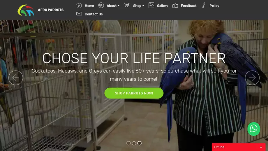 Screenshot of|