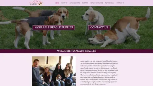 Screenshot of