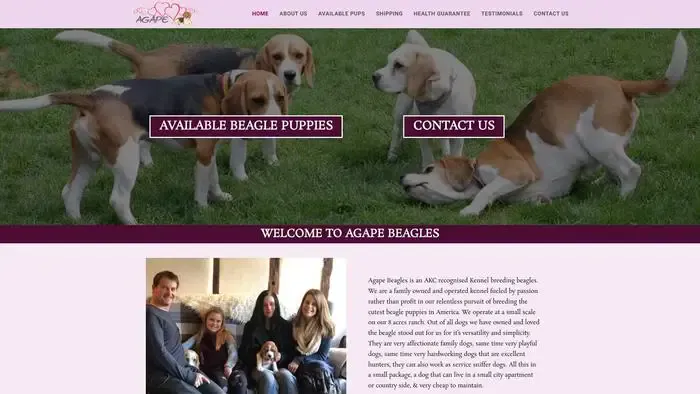 Screenshot of