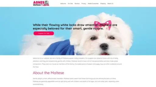 Screenshot of