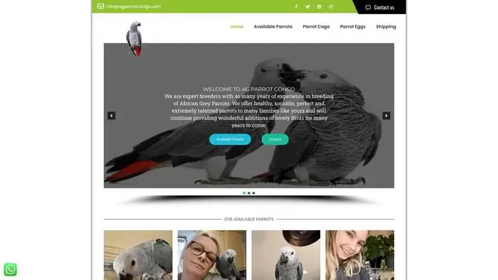 Screenshot of