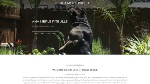 Screenshot of