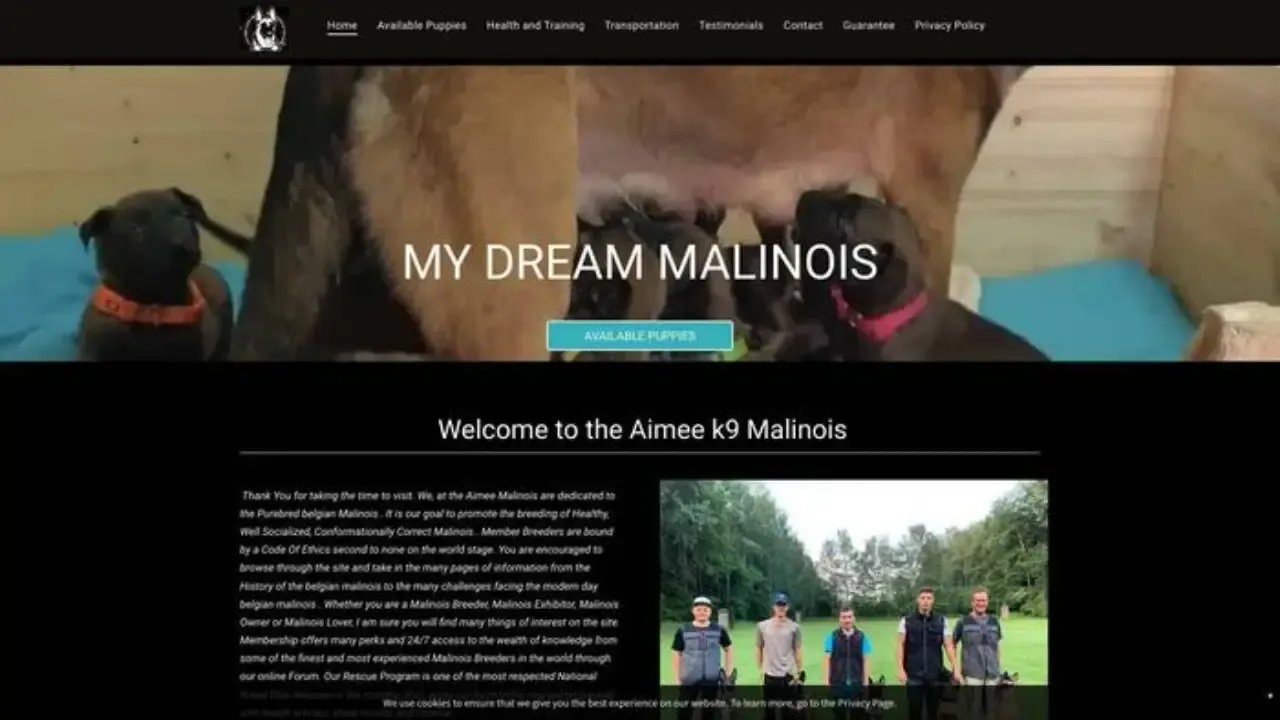 Screenshot of||