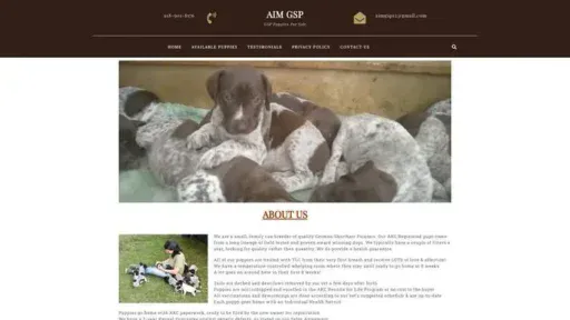 Screenshot of