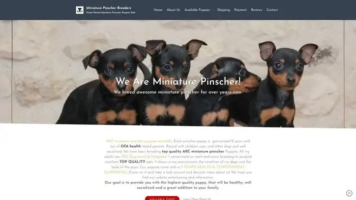 Screenshot of