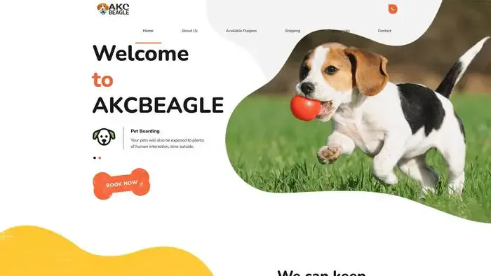 Screenshot of