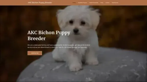 Screenshot of