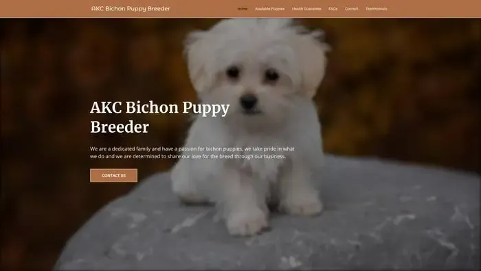 Screenshot of