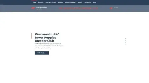 Screenshot of