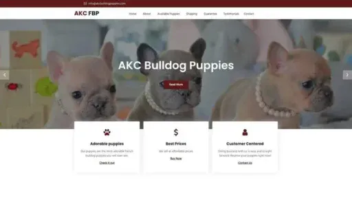 Screenshot of