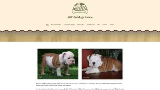 Screenshot of