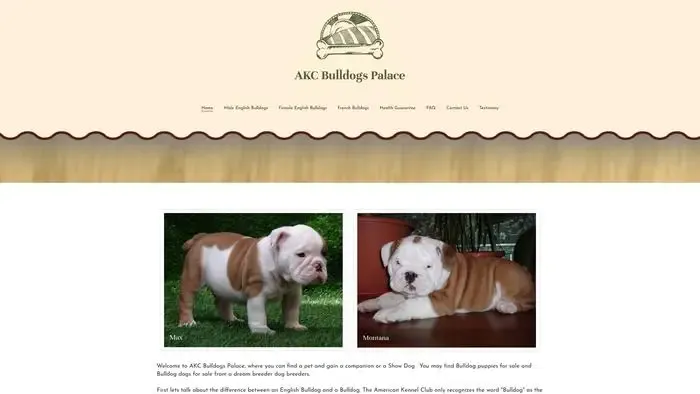 Screenshot of