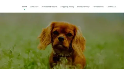 Screenshot of