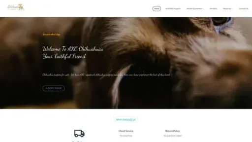Screenshot of