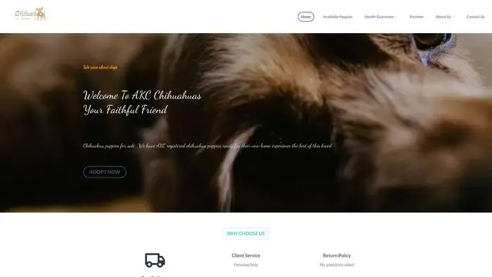 Screenshot of