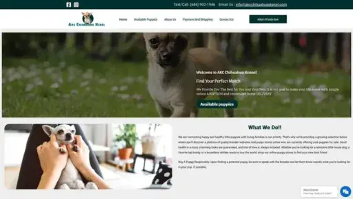 Screenshot of