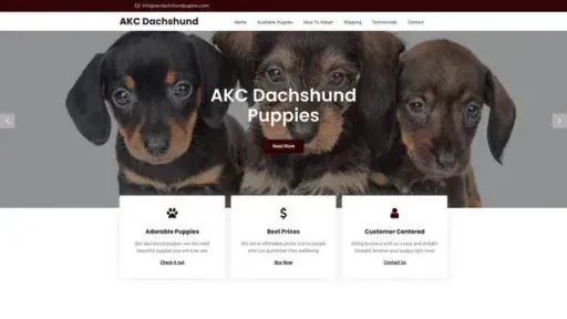 Screenshot of