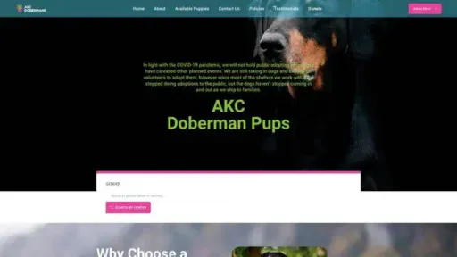 Screenshot of