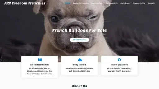 Screenshot of