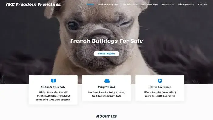 Screenshot of