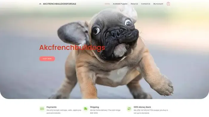 Screenshot of