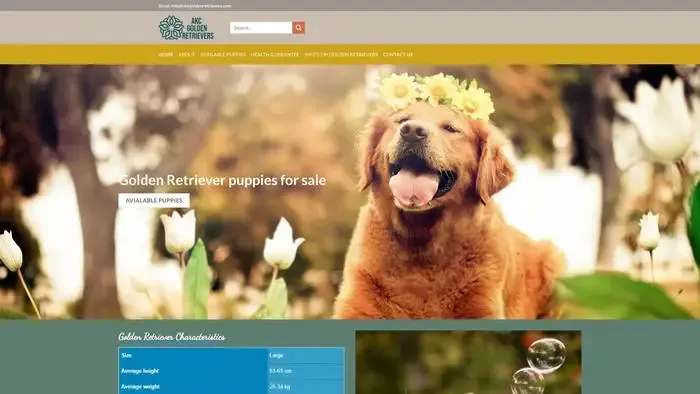 Screenshot of
