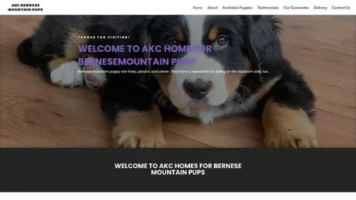 Screenshot of||