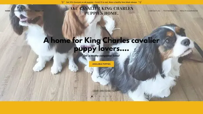 Screenshot of