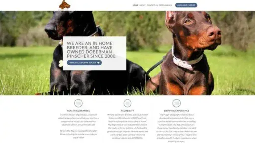 Screenshot of