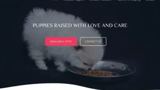 Screenshot of
