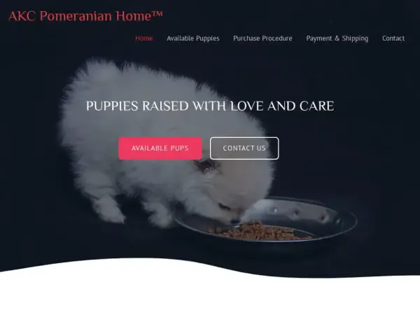 Screenshot of