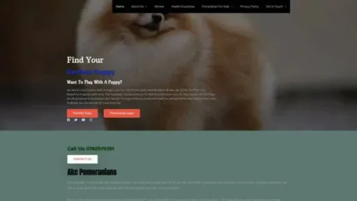 Screenshot of||