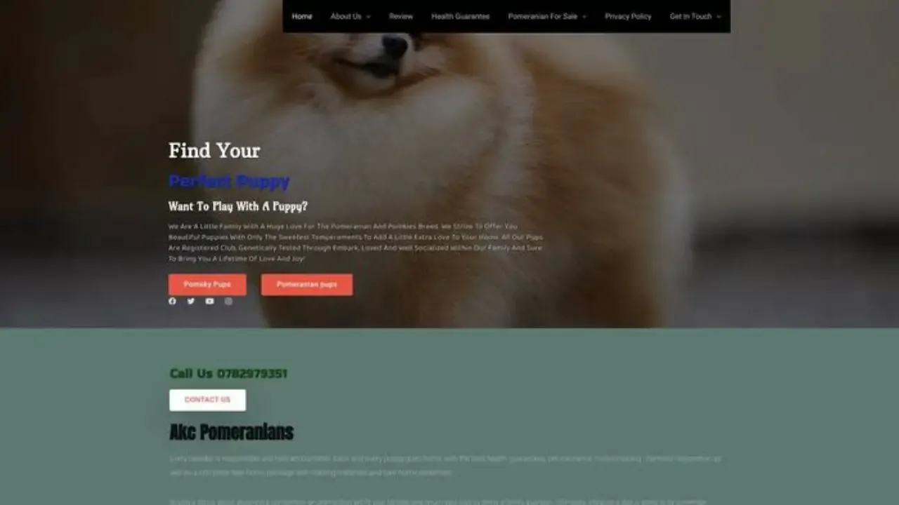 Akcpomeranians