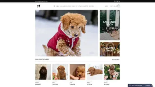 Screenshot of