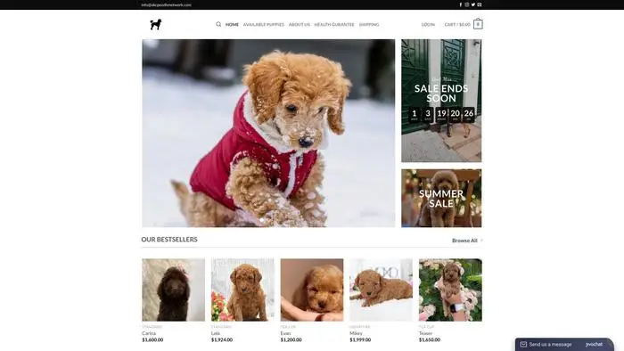Screenshot of