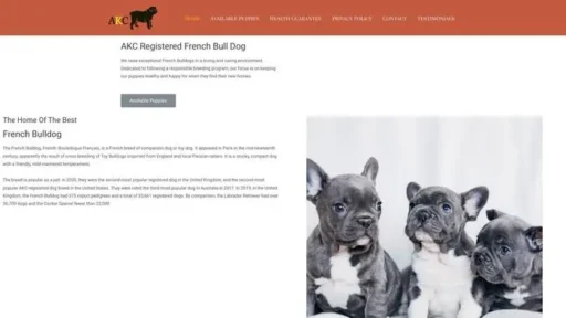 Screenshot of