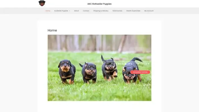 Screenshot of