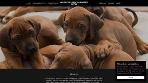 Screenshot of