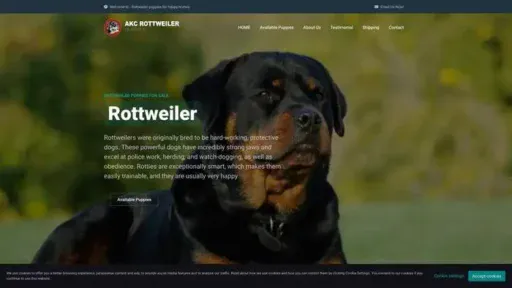 Screenshot of