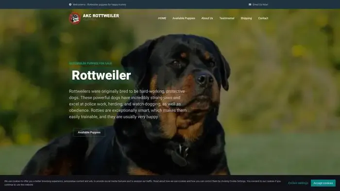 Screenshot of