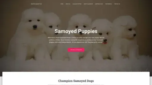 Screenshot of