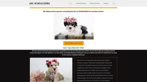 Screenshot of