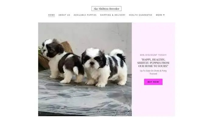 Screenshot of