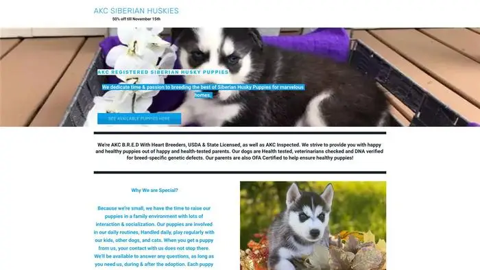 Screenshot of