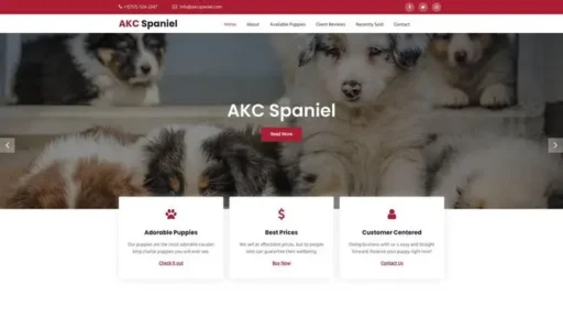 Screenshot of