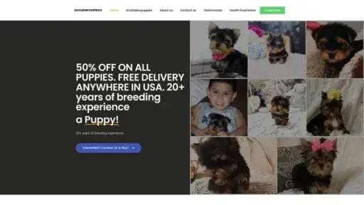 Screenshot of