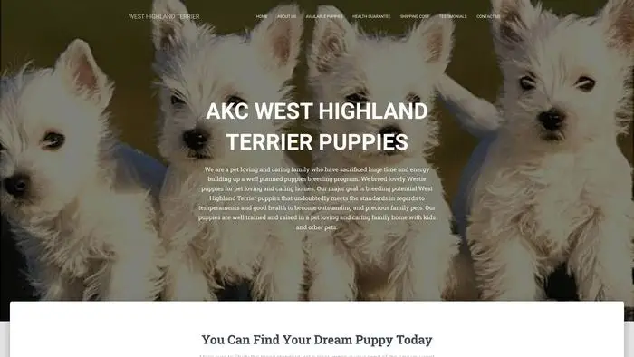 Screenshot of