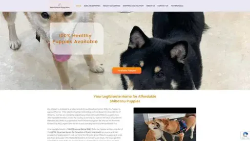 Screenshot of